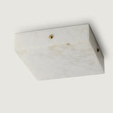 Evadne Ceiling Light