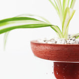 Triqis Concrete Planter - Red Terracotta - Broxle