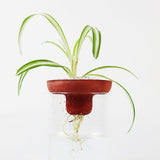 Triqis Concrete Planter - Red Terracotta - Broxle
