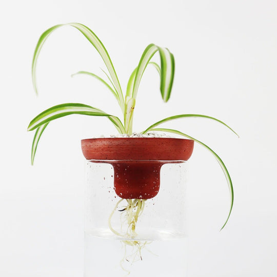 Triqis Concrete Planter - Red Terracotta - Broxle