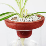 Triqis Concrete Planter - Red Terracotta - Broxle