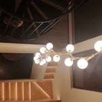 Ivy - Contemporary Art Vine Chandelier - Broxle