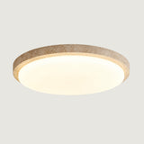 Carter Cone Ceiling Light
