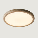 Guild Curve Ceiling Light
