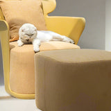 Quinn Chair