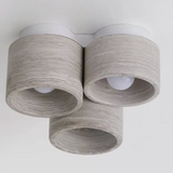 Kivi Trio Vein Ceiling Light