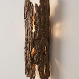 Vesu Wall Light